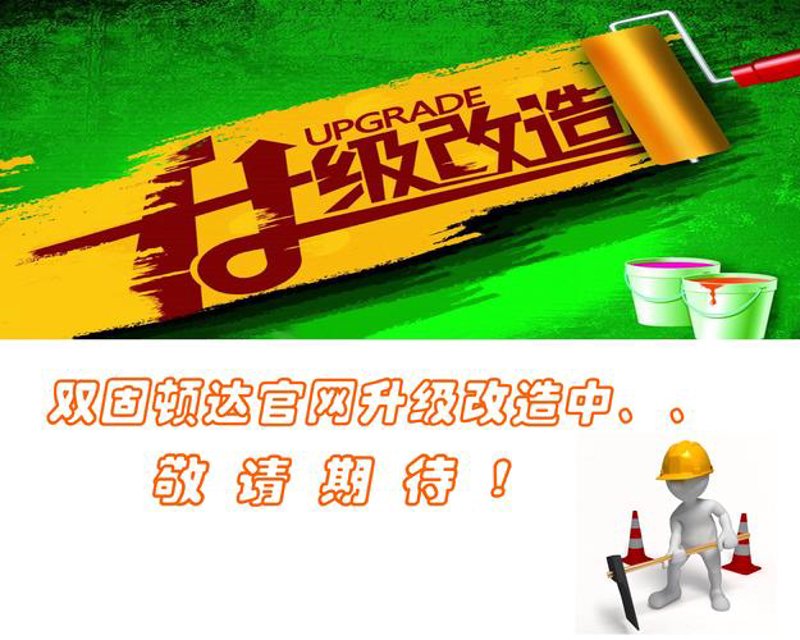 温州网站建设选购指南